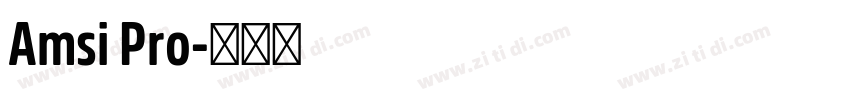Amsi Pro字体转换